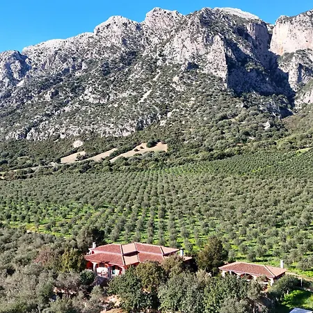 Villa With Stunning Views To The Mountains 5Km From The Beach Siniscola Exterior photo
