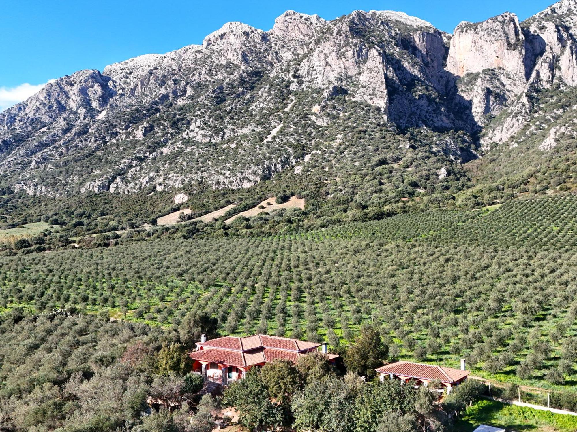 With Stunning Views To The Mountains 5km From The Villa
